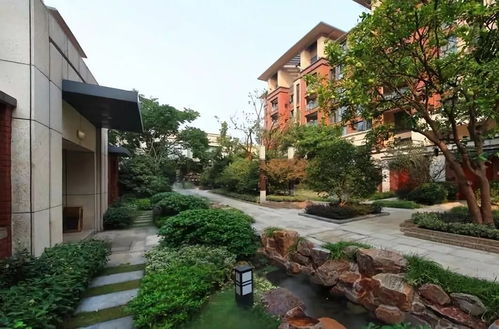 安置房女婿怎么继承房产