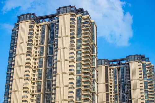 怎么拍卖回房产房子