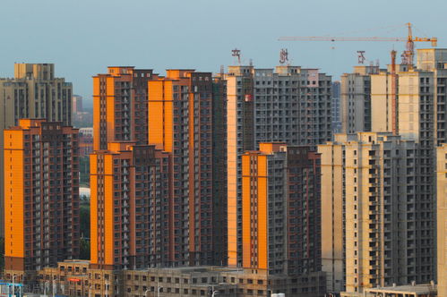 怎么拍卖回房产房子