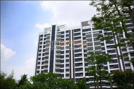 珠海老刘房产怎么样