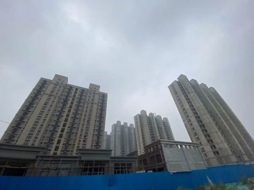 怎么投诉裕丰房产总部