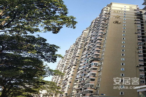 新景房产经纪怎么样