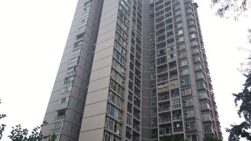 齐居房产怎么样