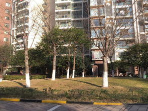 长寿房产洋房怎么样