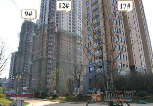 房产项目进度实景怎么写