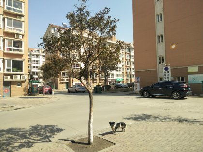 湄潭金鑫房产怎么样