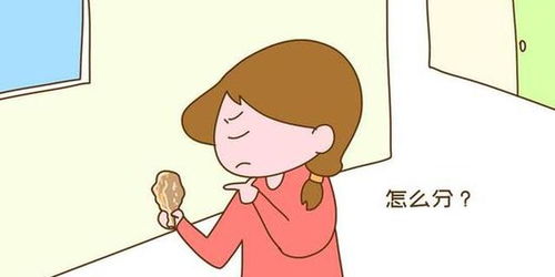 兄妹俩怎么分房产