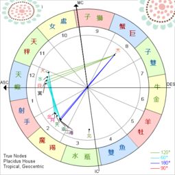 星盘怎么看自己房产