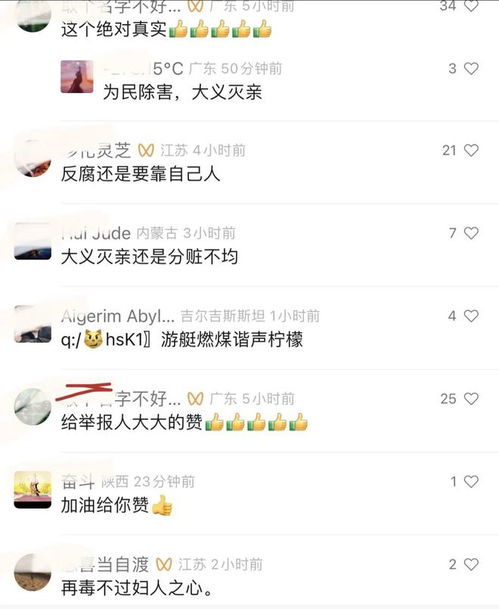 举报有多处房产怎么处理