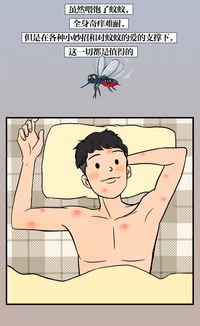 房产达人版怎么去蚊子 房产达人版怎么去蚊子