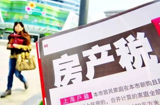 房产税怎么报不了