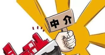 怎么惩戒房产中介的人