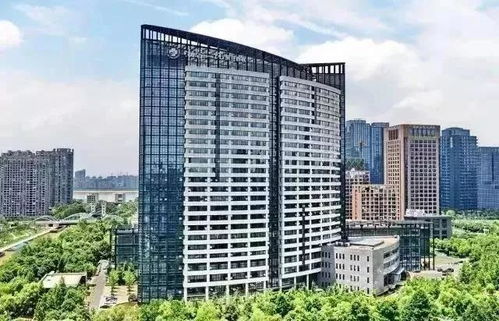 业主房产空置期怎么算