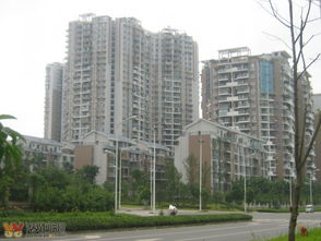 会住房产怎么样