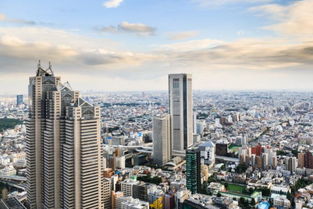 房产是属于谁 怎么填