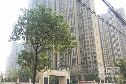 武汉天纵房产怎么样