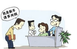 房产新人心得怎么写