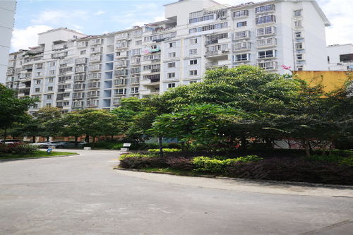 南宁居家房产怎么样 南宁居家房产怎么样