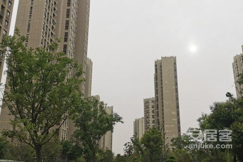 盛美房产怎么样