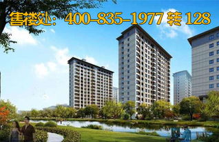 金悦房产怎么样