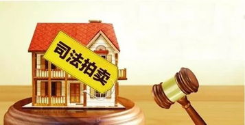 审理阶段怎么拍卖房产