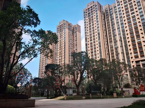 新润房产怎么样