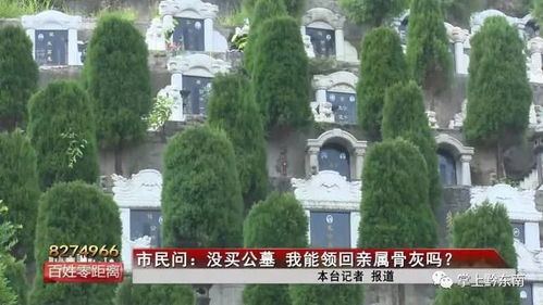 怎么样算公墓房产