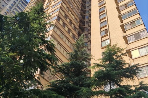 西安大牙房产怎么样