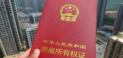 检房产证怎么查