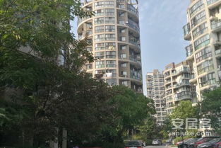 新景房产经纪怎么样