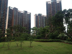 海伦传世房产怎么样