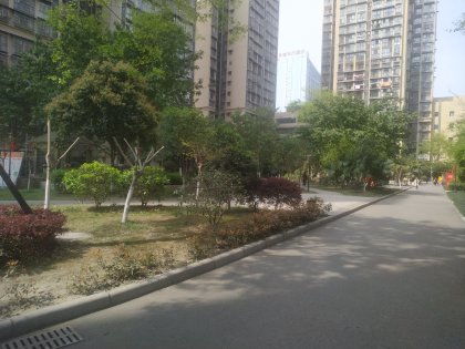 新泰小胖房产怎么样