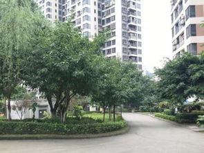 定远祥瑞房产怎么样