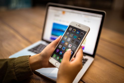 手机直播房产怎么投流