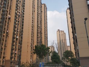 滑县彩虹房产怎么样