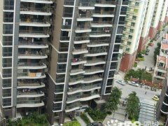 怎么查晋江房产信息