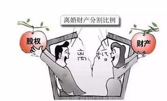 夫妻房产分割怎么判的