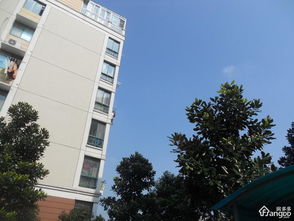 无锡春蕾房产怎么样