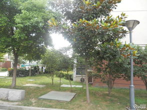 无锡春蕾房产怎么样