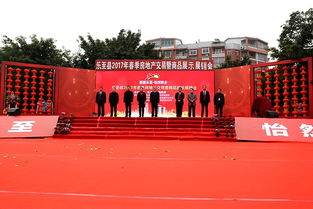 乐至房产市场怎么样