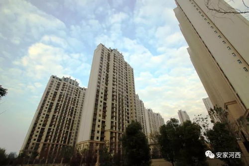 首次拍房产视频怎么拍