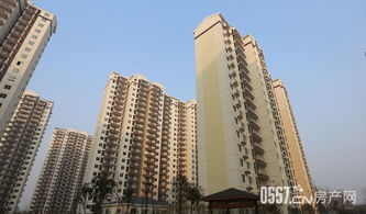 破产后怎么安置房产过户