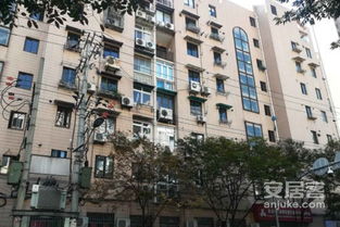 温州顺风房产怎么样