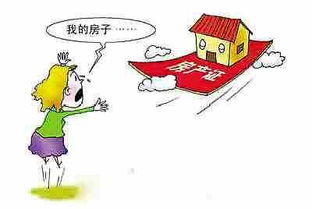 确权房产纠纷怎么处理