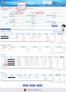房产税怎么申报呢