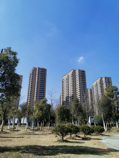 杭州房产公司怎么选 杭州房产公司怎么选