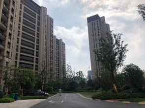 杭州嘉兴房产怎么样 杭州嘉兴房产怎么样