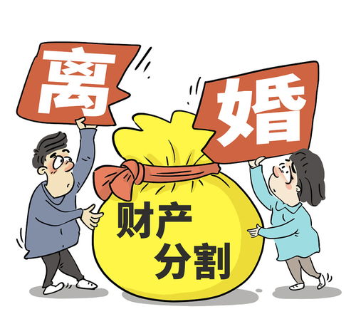 奶奶的房产怎么分配的