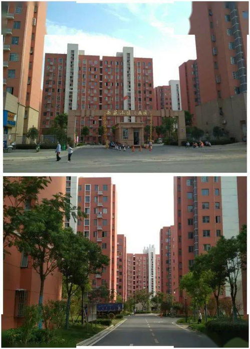 易居房产怎么了 易居房产怎么了