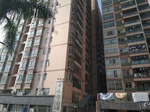 郑地房产怎么样 郑地房产怎么样